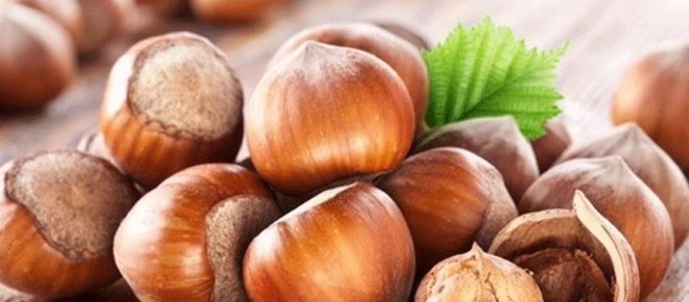  Φουντούκια: Η θρεπτική αξία και τα οφέλη για την υγεία